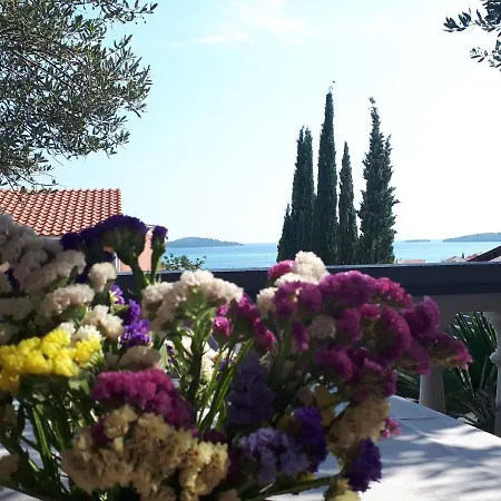 Filmar Brodarica (Sibenik-Knin)